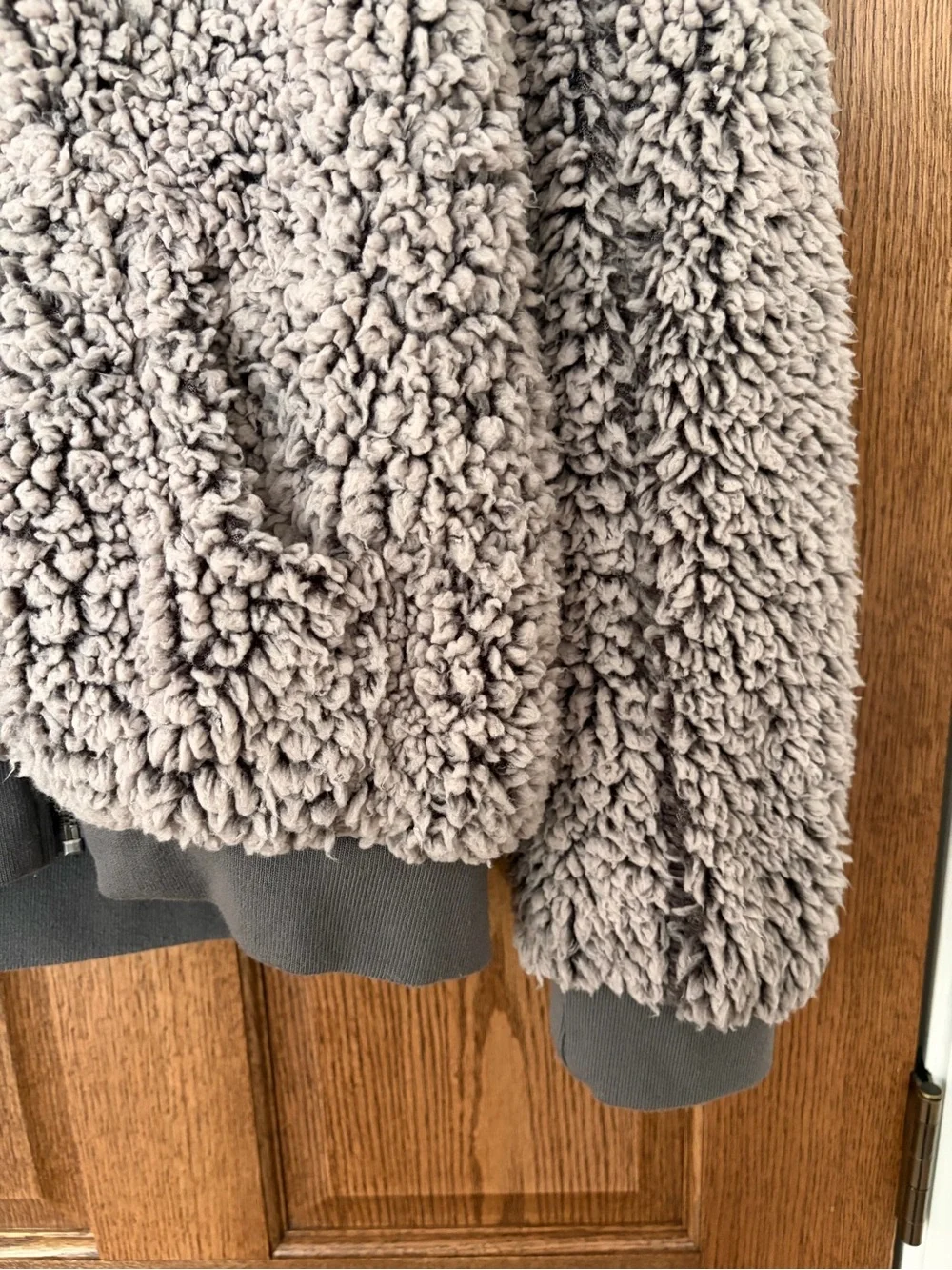 Thread & Supply Plush Sherpa Zip Hoodie in Taupe and Cream - Picture 7 of 9